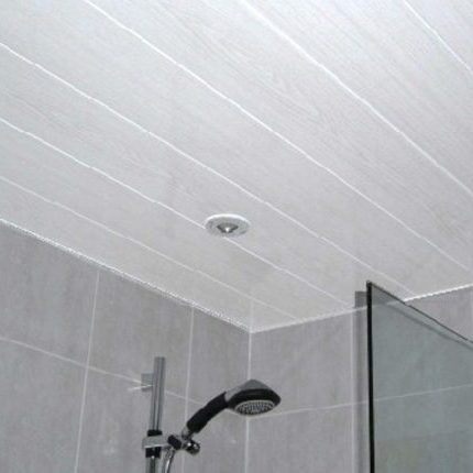 bathroom ceiling panel